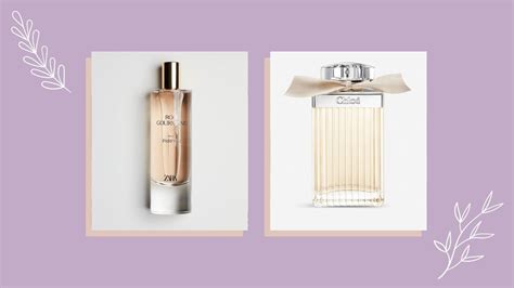 perfume similar to chloe roses|zara chloe dupe.